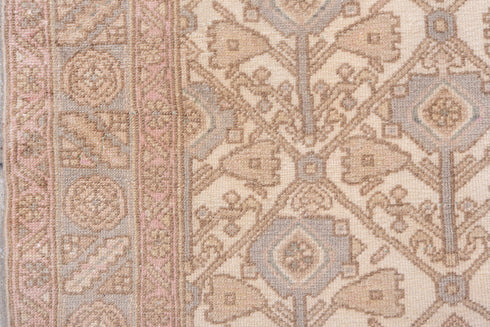 Antique Malayer Runner Rug (3' x 6')